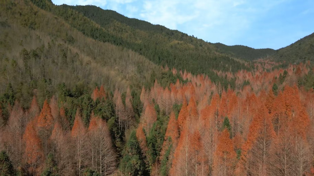 张育林：32年的坚守，在绿水青山中闪耀着 共产党员的金色光芒