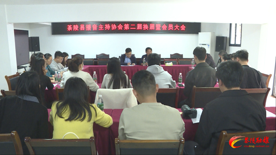 茶陵县播音主持协会换届：凝聚力量 共促行业蓬勃发展
