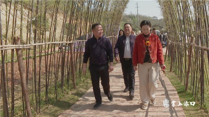 周建明来渌口区调研文旅项目