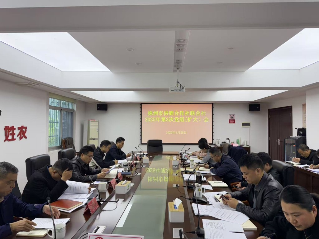 市供销社召开2025年第3次党组（扩大）会议