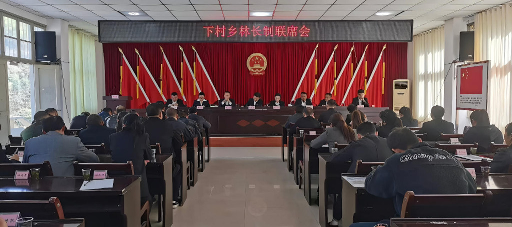 炎陵县下村乡：践行林长制  共筑绿色梦