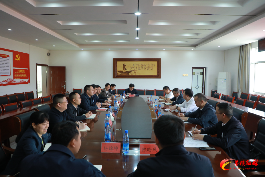 杨红兵到虎踞镇调研重点工作