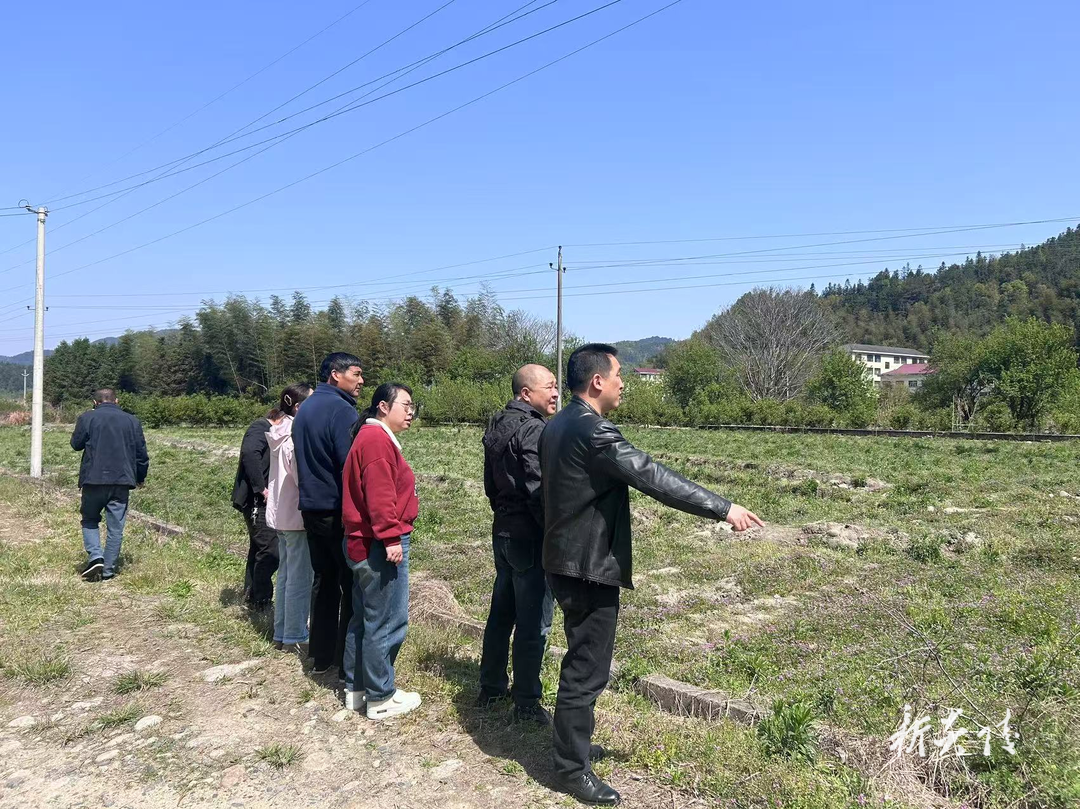 十都镇：发挥人大代表主体作用 助力耕地“非粮化”整治