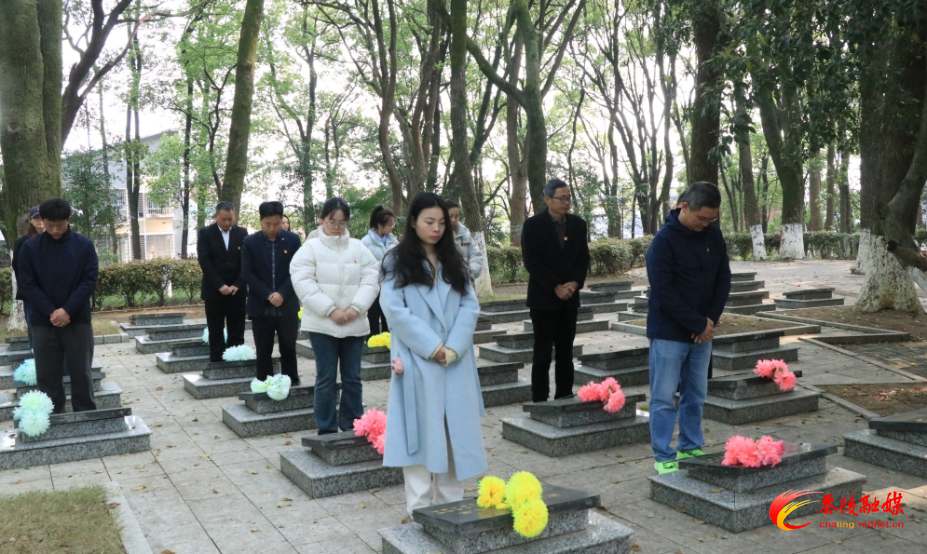 茶陵二中开展清明祭扫烈士陵园活动