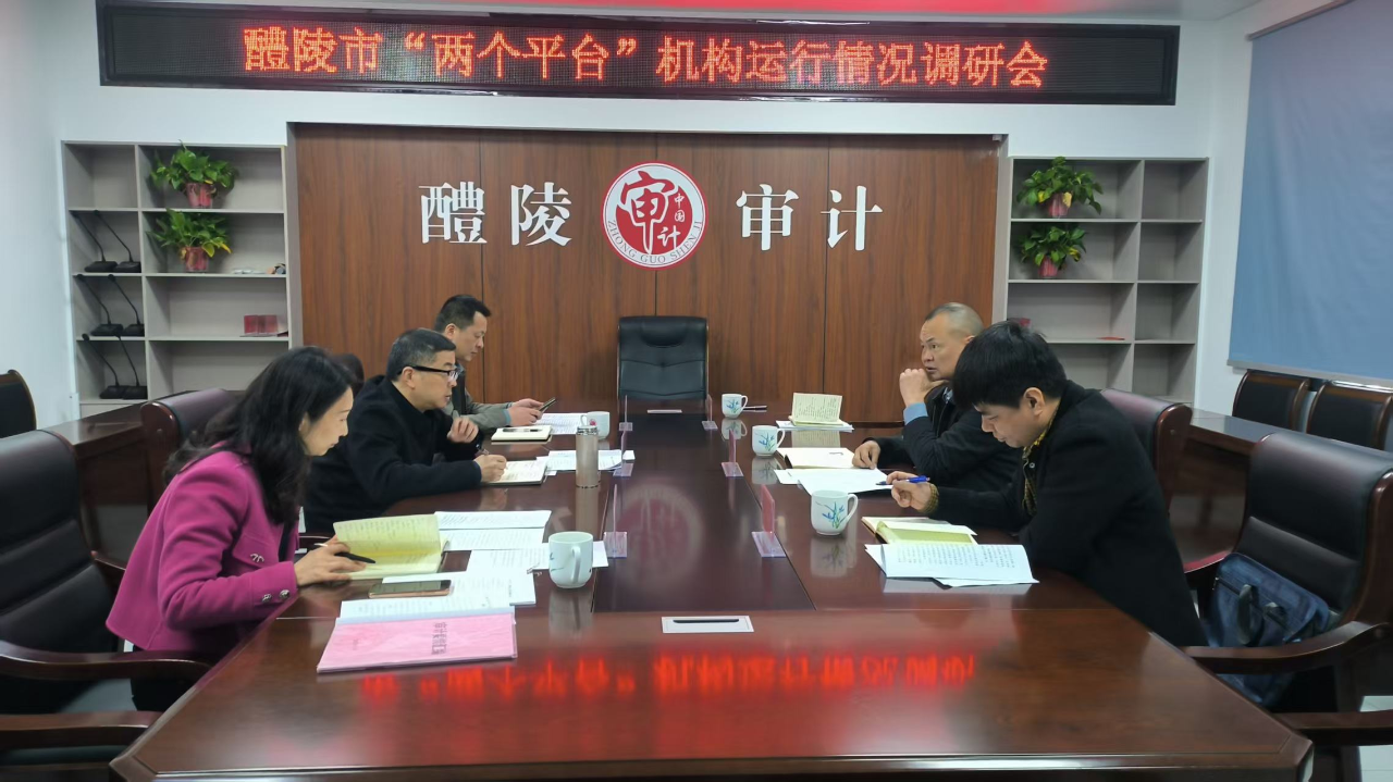 株洲市审计局开展关于“两个平台”机构运行情况专题调研