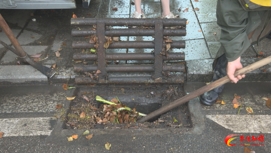 县城管局：清理城区雨水口 守护城市 “毛细血管”