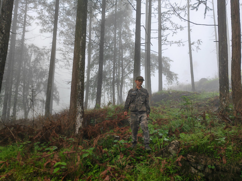张育林：32年的坚守，在绿水青山中闪耀着 共产党员的金色光芒