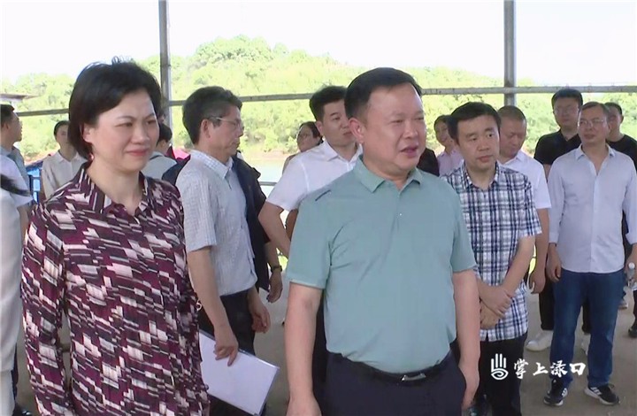 李晓彤率队调研湘渌公司叶片超级工厂项目