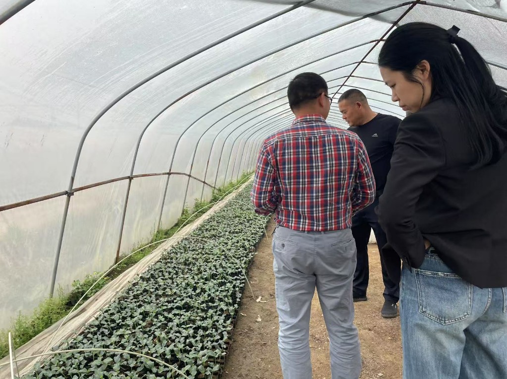 市农机事务中心携手统计局开展设施农业大棚专项统计工作