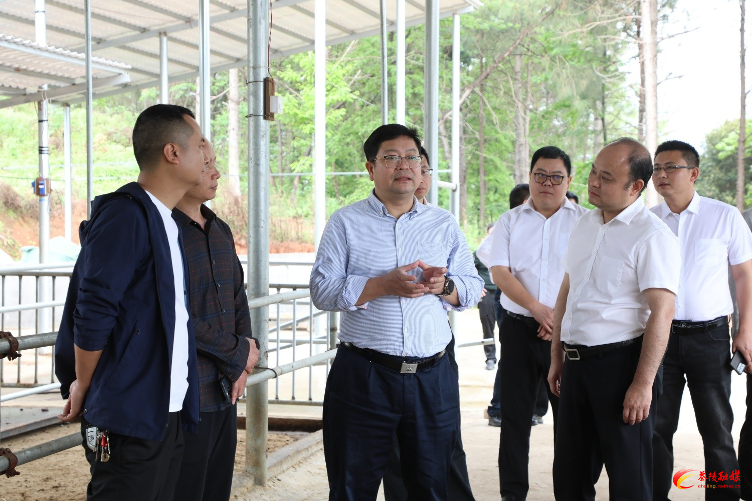 杨红兵到界首镇调研