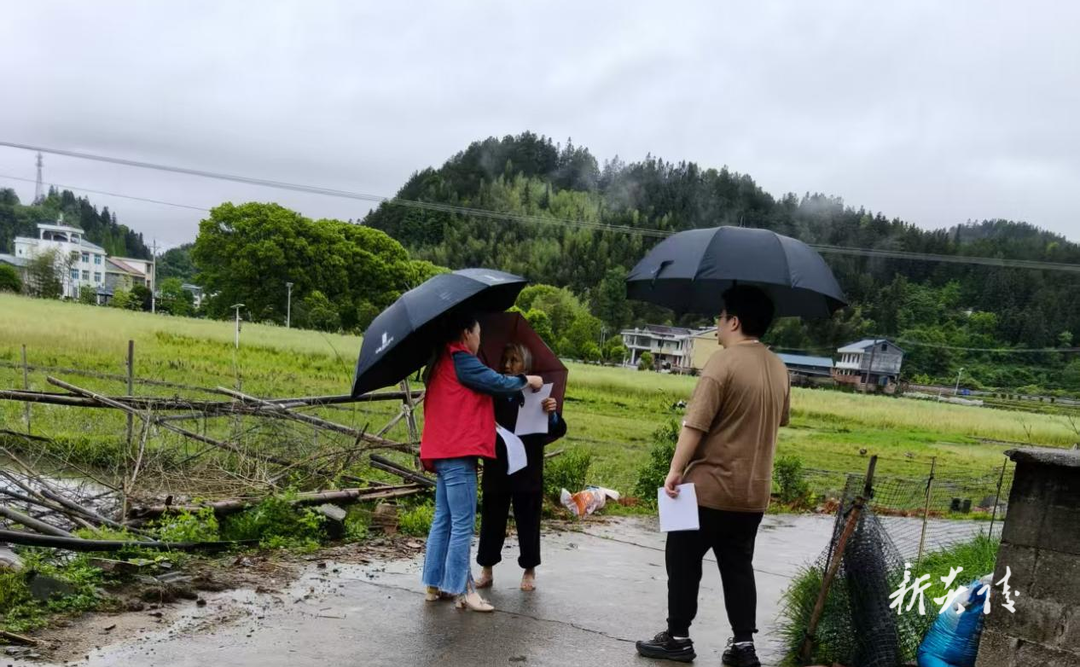 沔渡镇：迎汛而上筑防线 守护群众安全