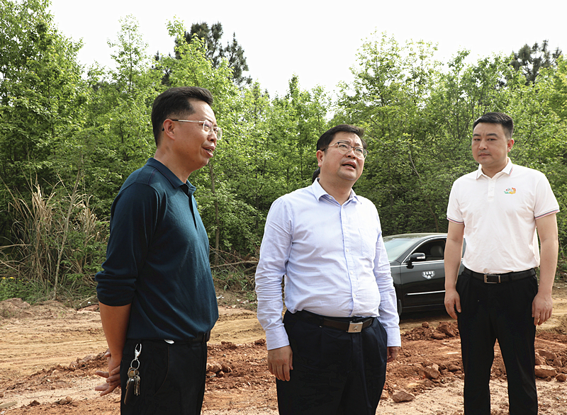 杨红兵到洣江街道调研