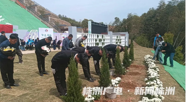 与花树同眠，换个方式延续生命