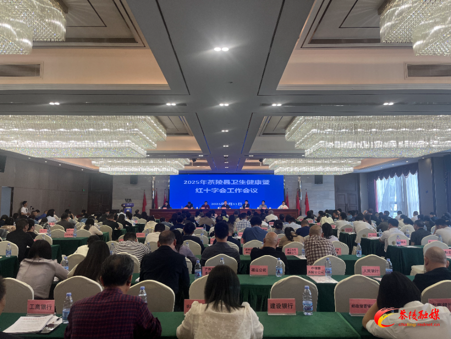 2025年全县卫生健康、红十字工作会召开