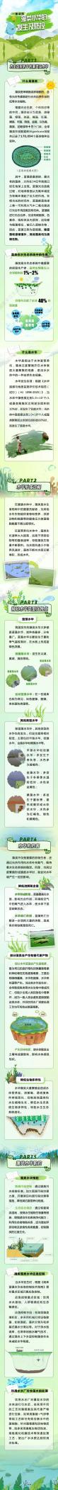 一图读懂丨涨知识！带你了解藻类水华的发生及防控