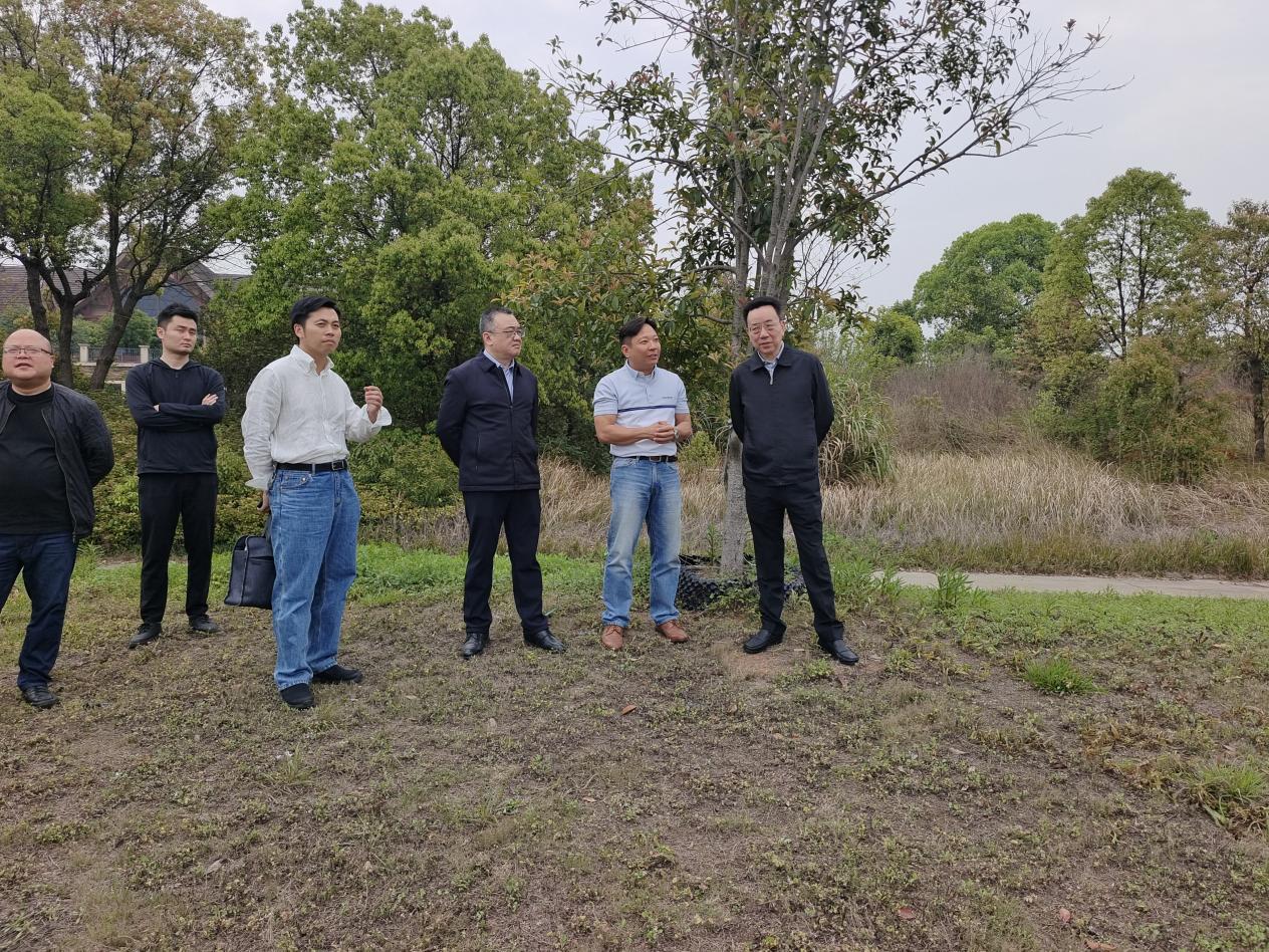 扎实推进突出生态环境问题治理
