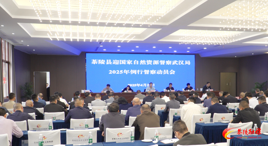 茶陵县迎国家自然资源督察武汉局2025年例行督察动员会召开