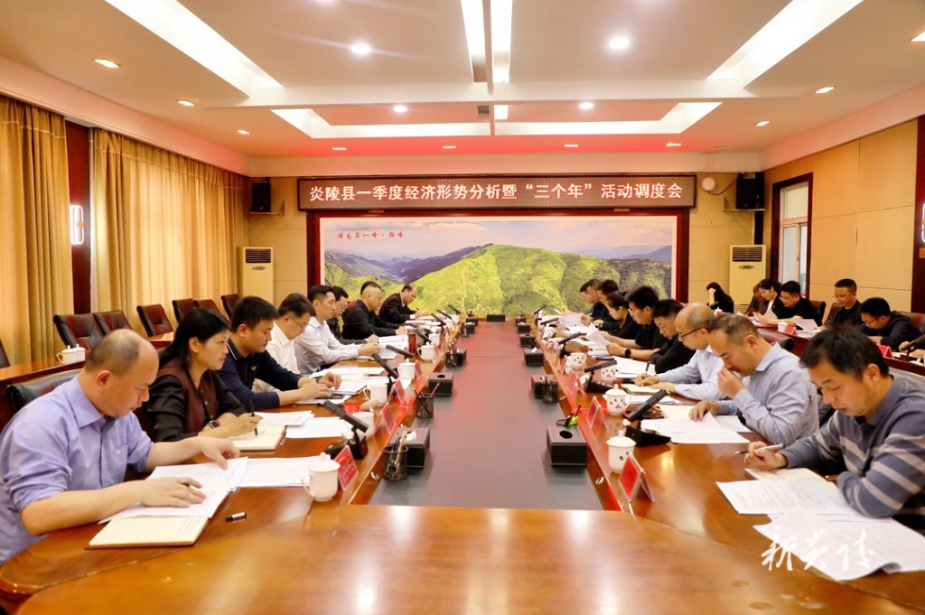 炎陵县一季度经济形势分析暨“三个年”活动调度会召开