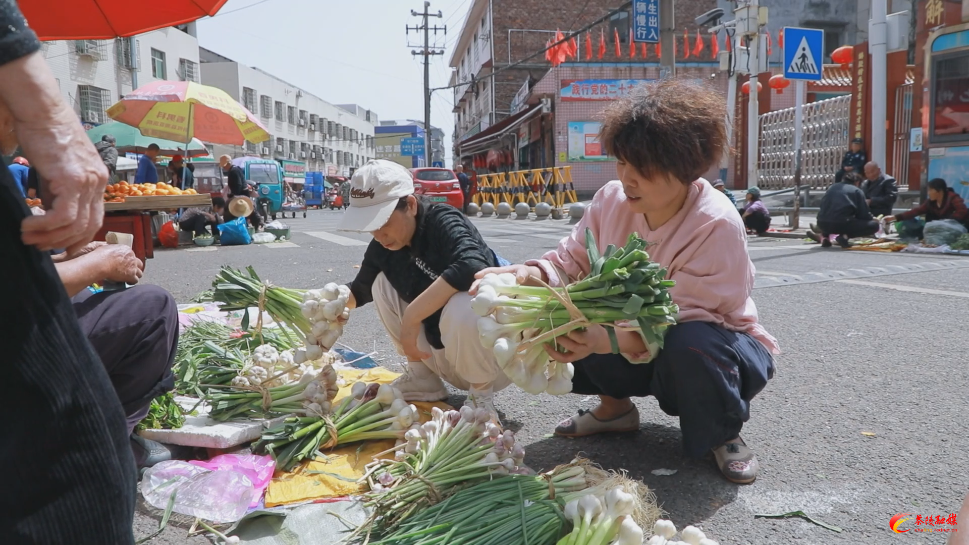 【春之画卷】茶陵：紫皮大蒜已上市 市民抢“鲜”备伏蒜