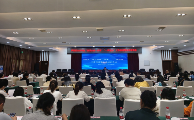 芦淞区召开2025年度“高效办成一件事”“一网通办”工作推进暨业务培训会