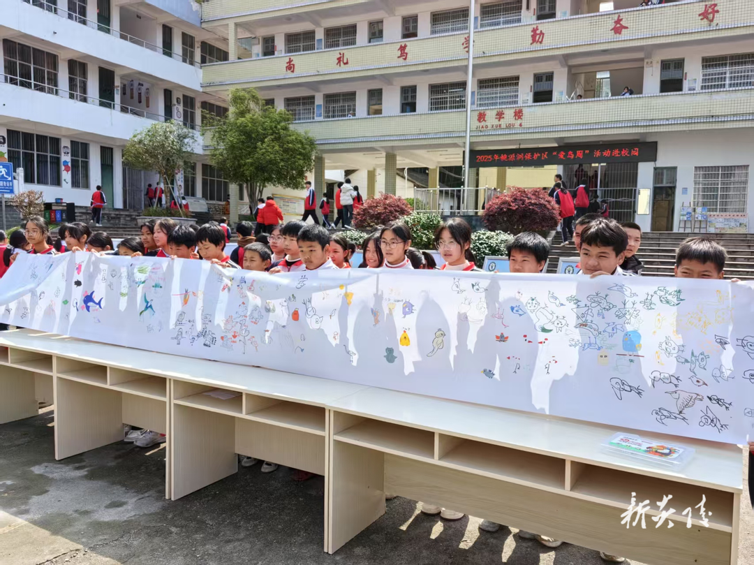县林业局：爱鸟护鸟 共筑和谐