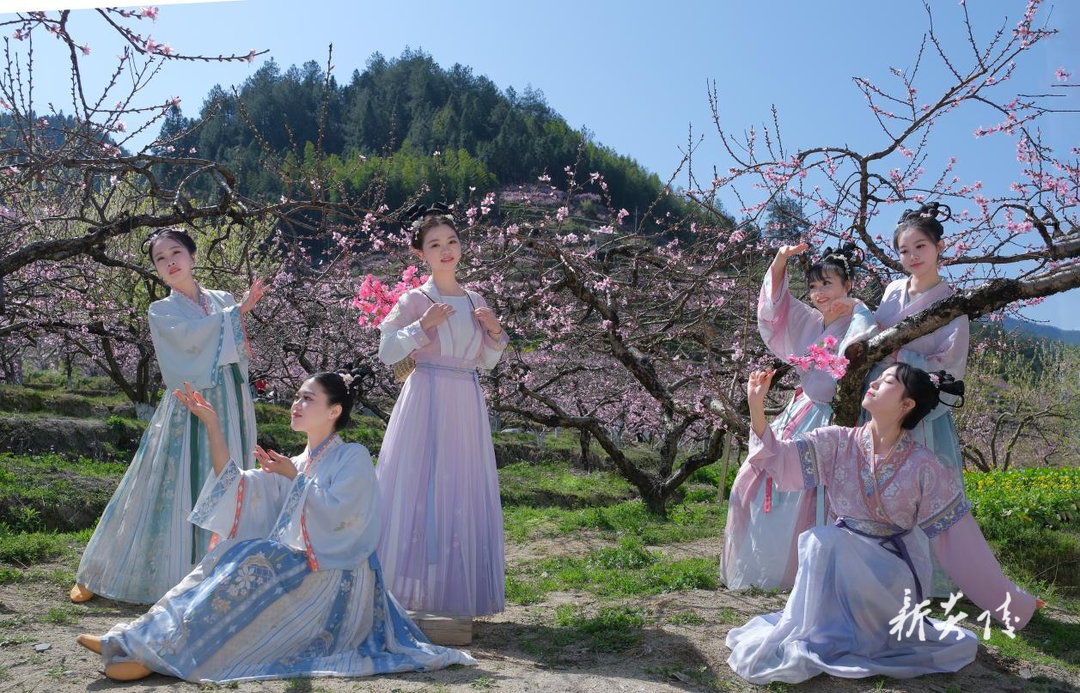 中村瑶族乡：千亩桃林迎客来 汉服花海醉春风