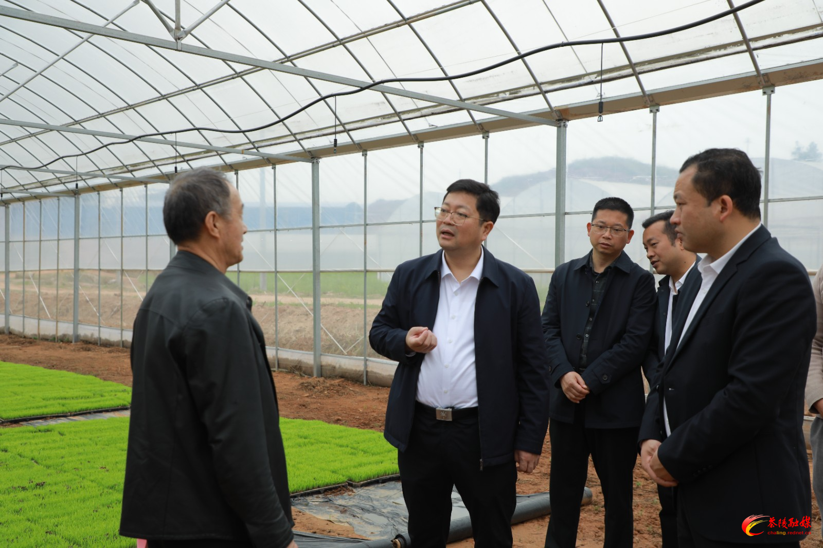 杨红兵到下东街道调研重点工作