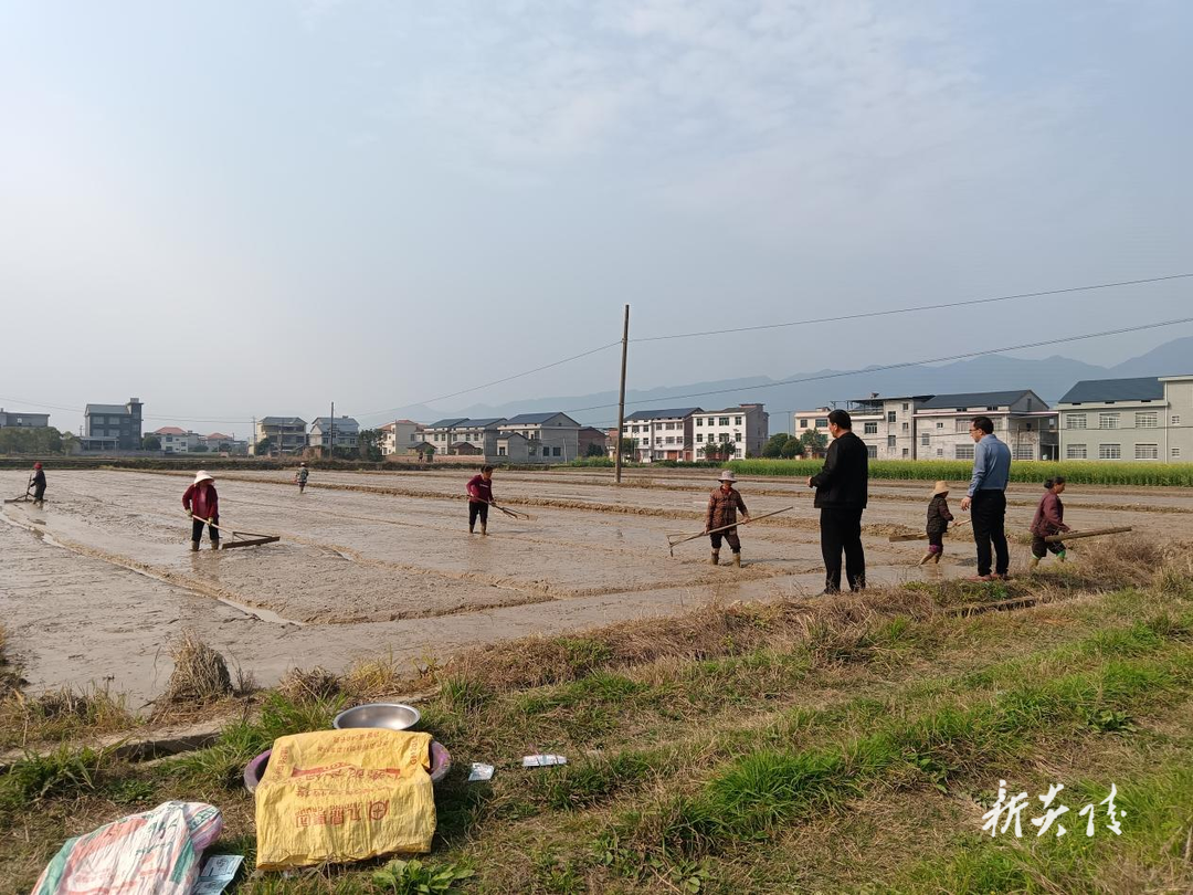 霞阳镇：人大代表助春耕 田间地头显担当