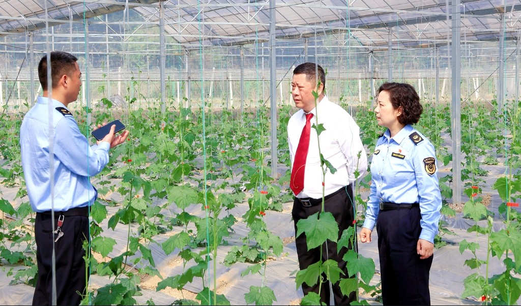 以知识产权促农业发展 助力株洲乡村振兴