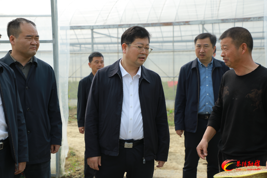 杨红兵到虎踞镇调研重点工作