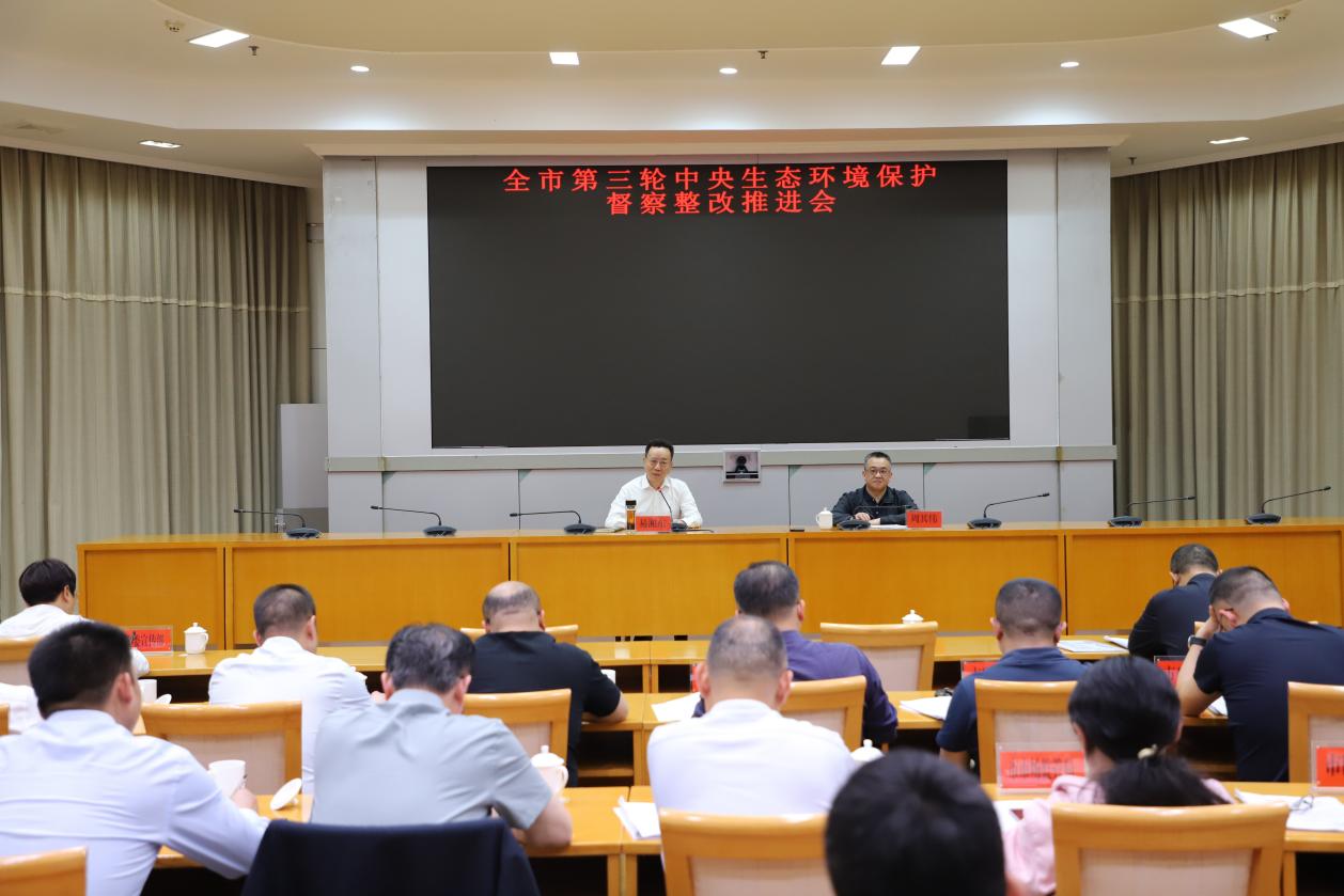 扎实推进突出生态环境问题整改