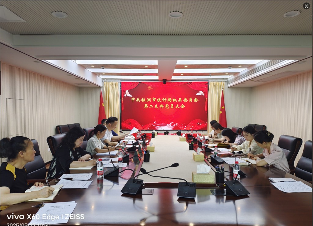 换届启新程 聚力再出发 中共株洲市统计局机关委员会第二支部圆满完成换届选举工作