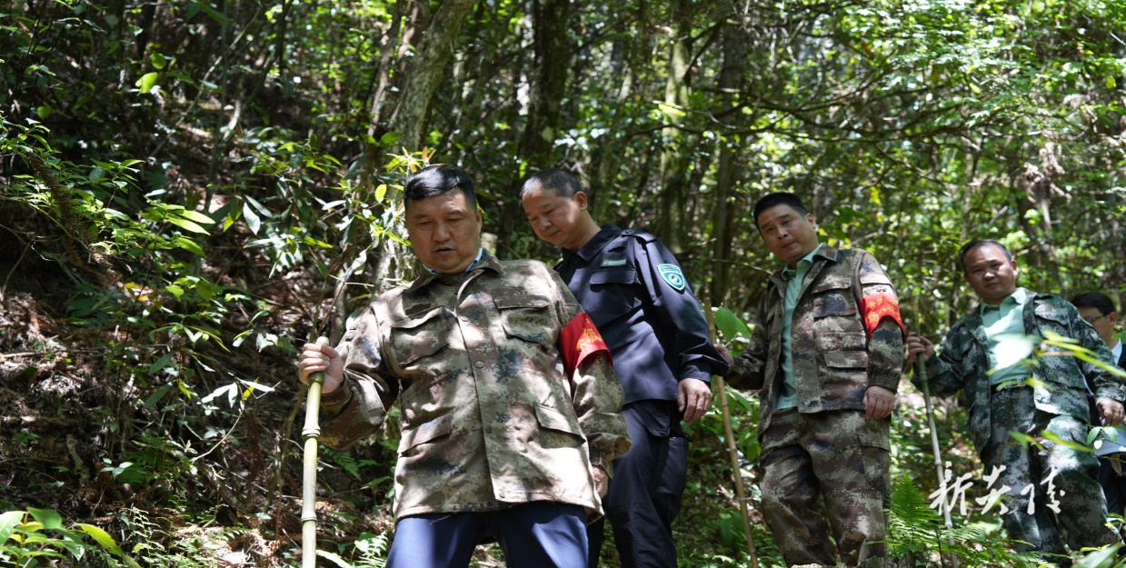 “联防联保 守护自然” 湘赣两省在行动