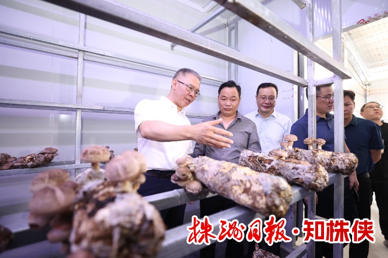 曹慧泉调研茶陵县经济社会发展和班子运行情况