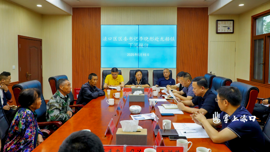 李晓彤赴龙船镇下沉接访并调研基层治理工作