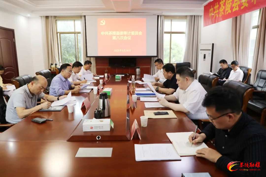 杨红兵主持召开中共茶陵县委审计委员会第八次会议