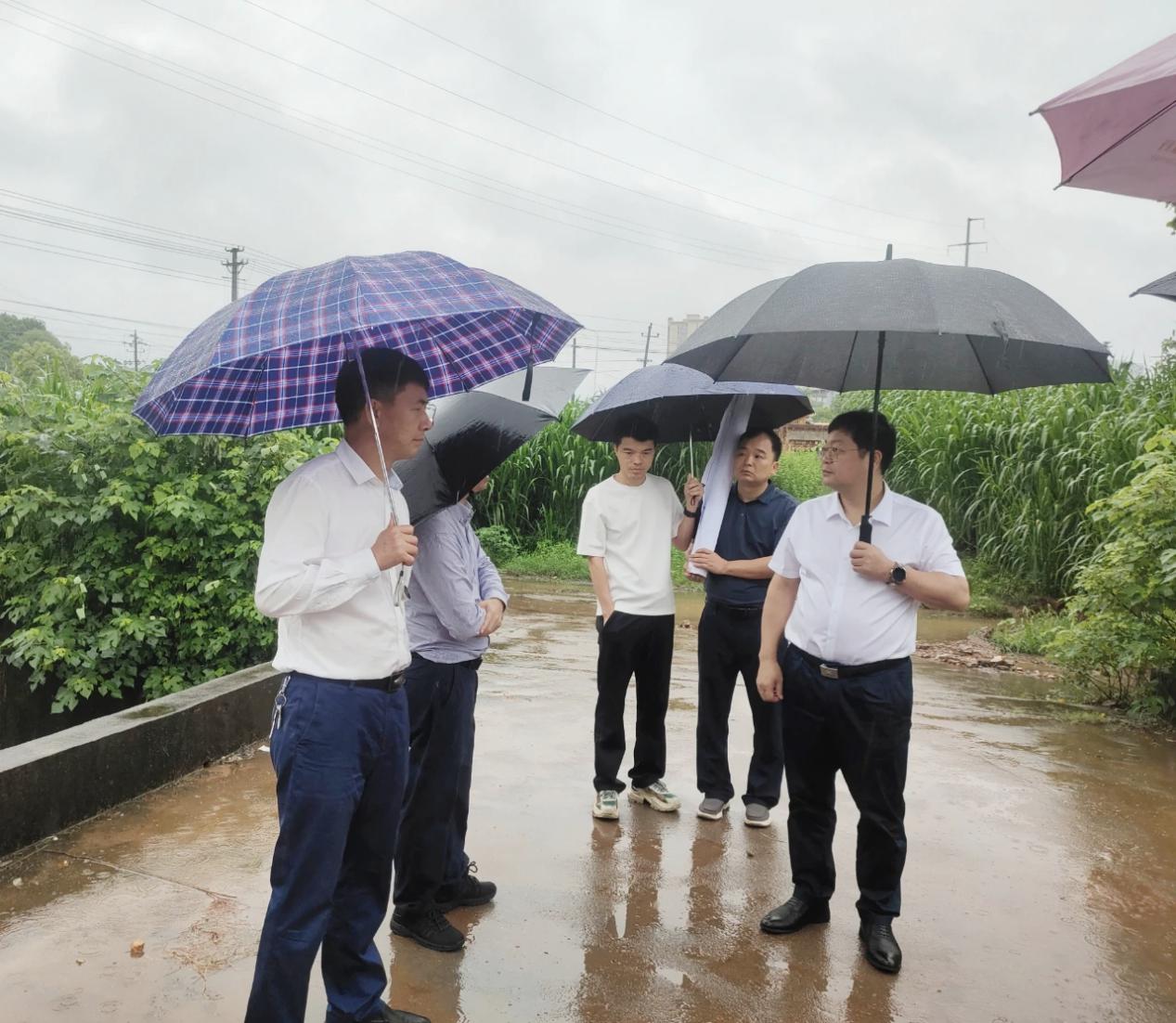 杨红兵开展突出生态环境领域"边巡边改，同类同改"现场督查