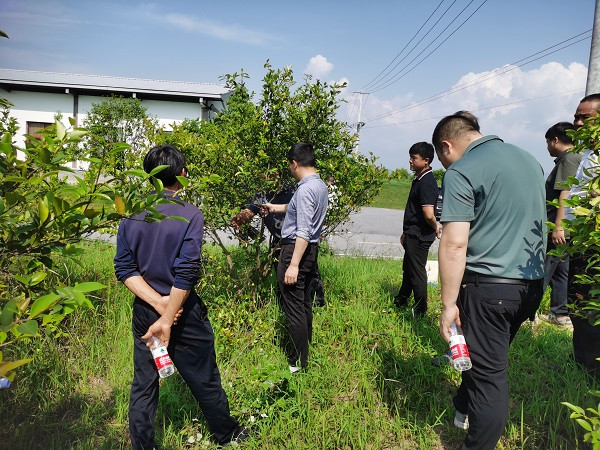 技术赋能 共促发展——攸县举办油茶技术培训活动
