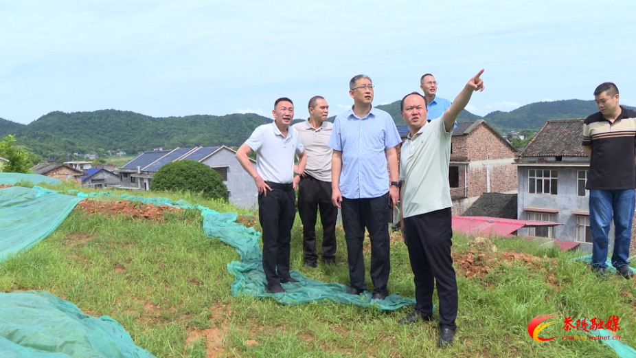 茶陵县积极开展地质灾害隐患“微治理”