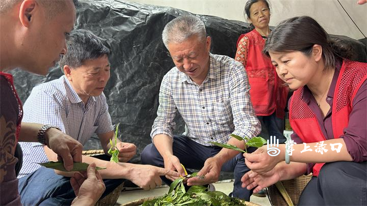 湖南省茶叶研究所一行来渌口区调研