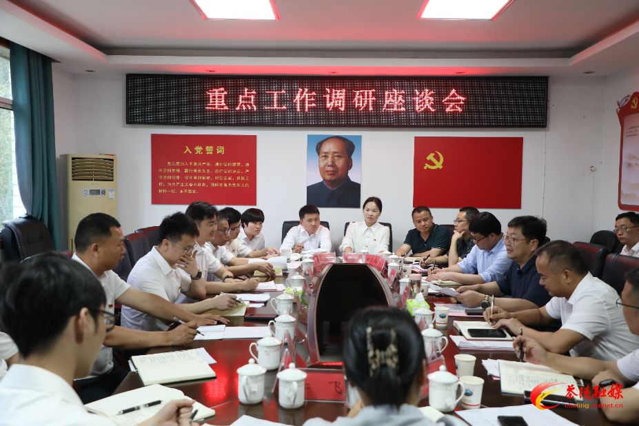 杨红兵到桃坑乡调研