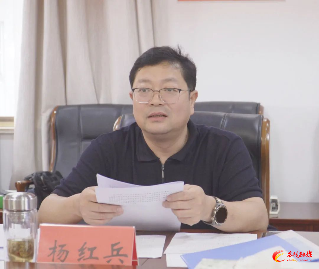 杨红兵主持召开中共茶陵县委审计委员会第八次会议