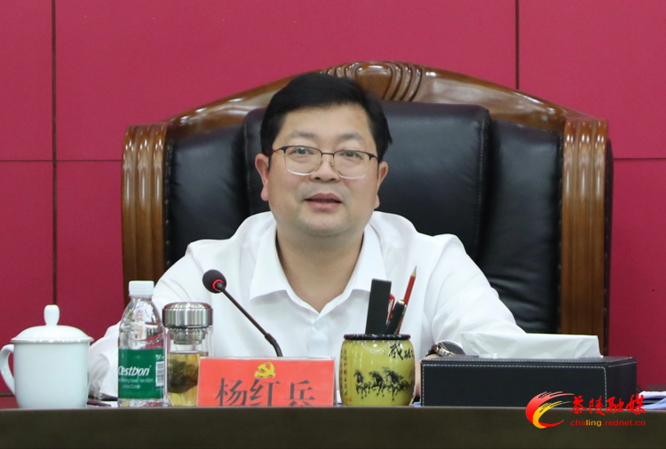 杨红兵主持召开中共茶陵县委常委会2025年第7次会议