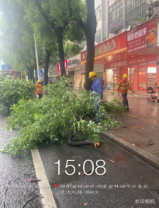 石峰区城管局全力应对极端天气保民生