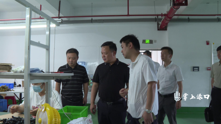 李晓彤带队调研四上企业培育工作