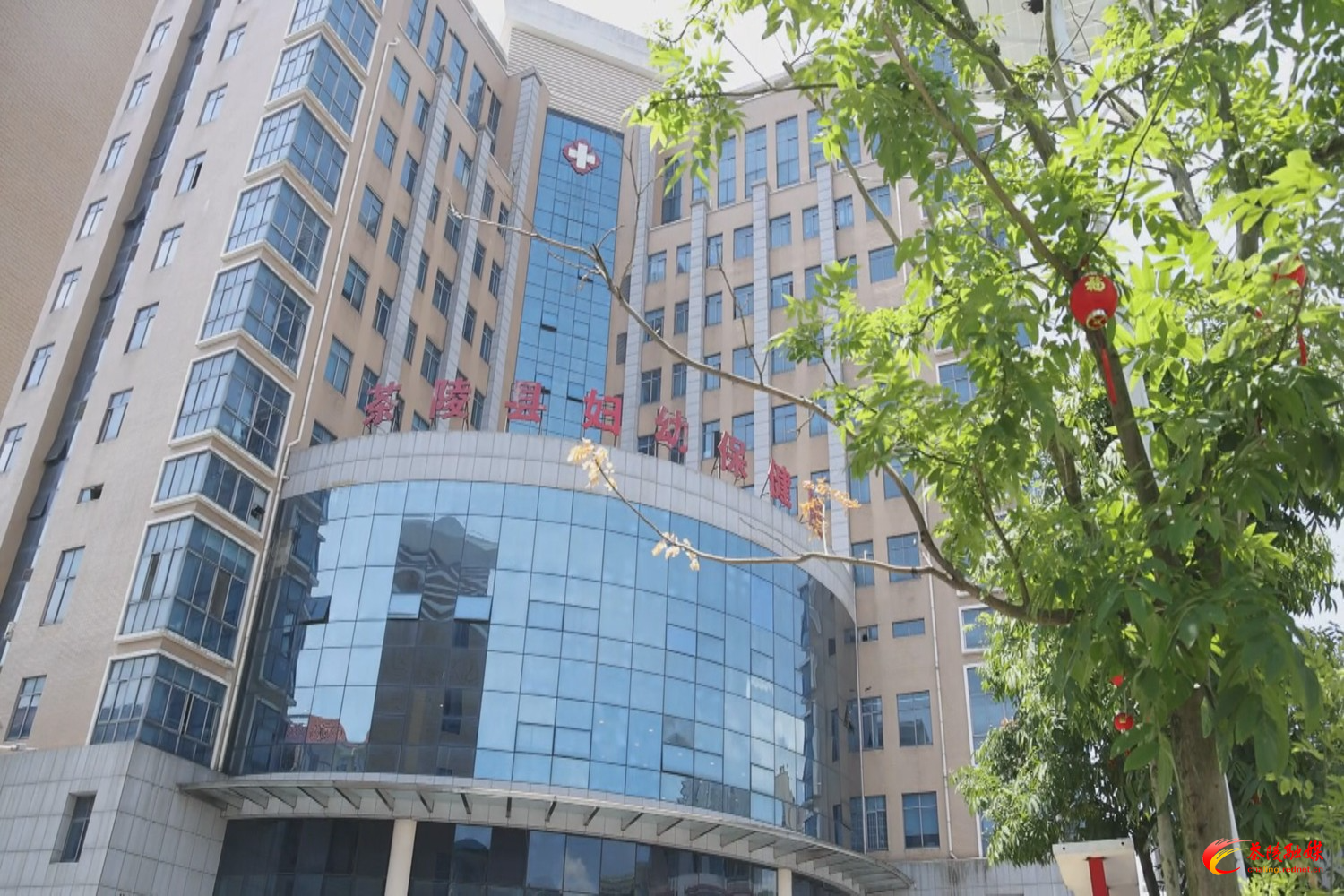 最高可省1598元！茶陵县疫苗接种惠民活动开始啦！