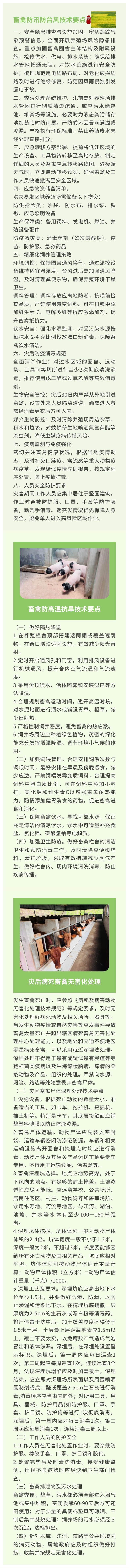 畜禽类防汛抗旱措施指南