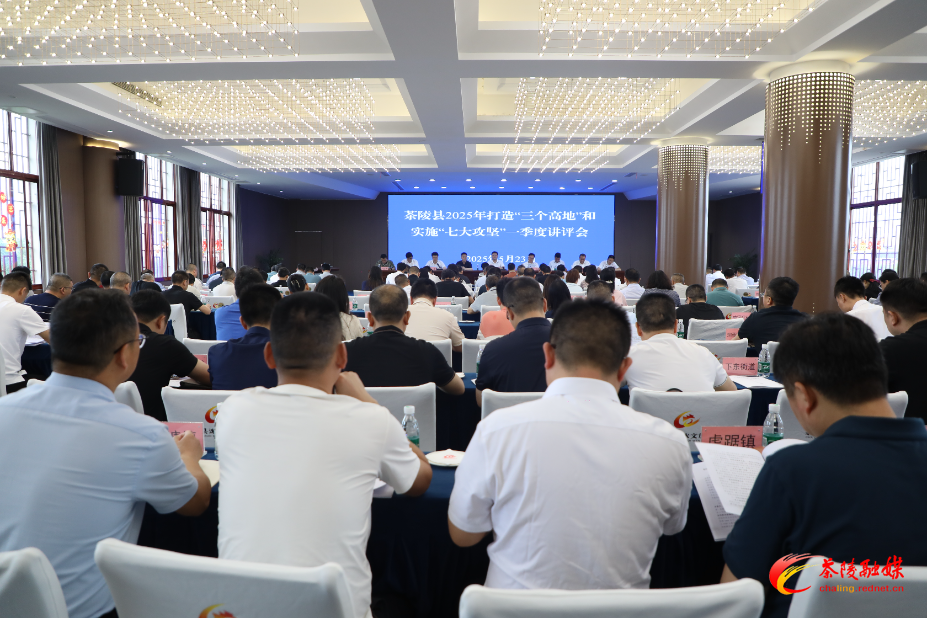 茶陵县2025年打造“三个高地”和实施“七大攻坚”一季度讲评会议召开