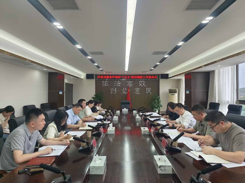市发改委赴芦淞区开展“十五五”规划编制工作调研座谈
