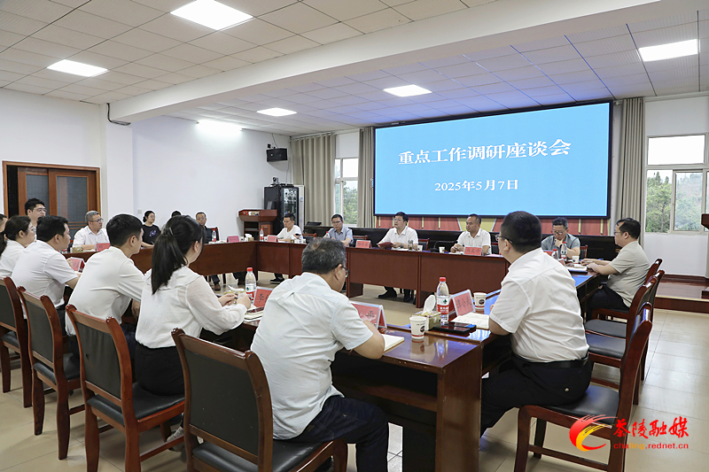 杨红兵到火田镇调研